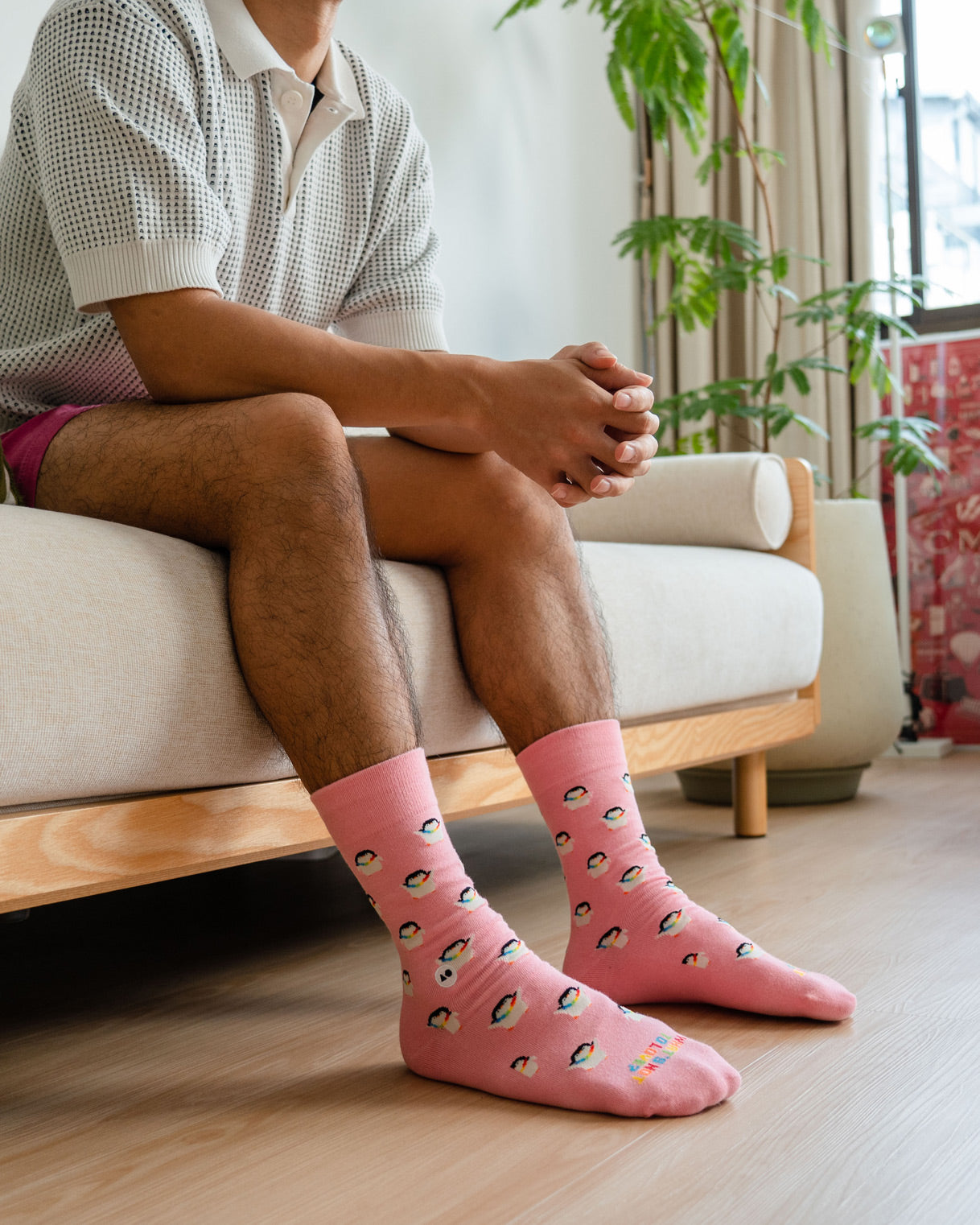 Talking Socks Pride Penguin Sock – Talking Toes SG