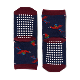 Soaring Macaw Kids Sock (2-5 Years)